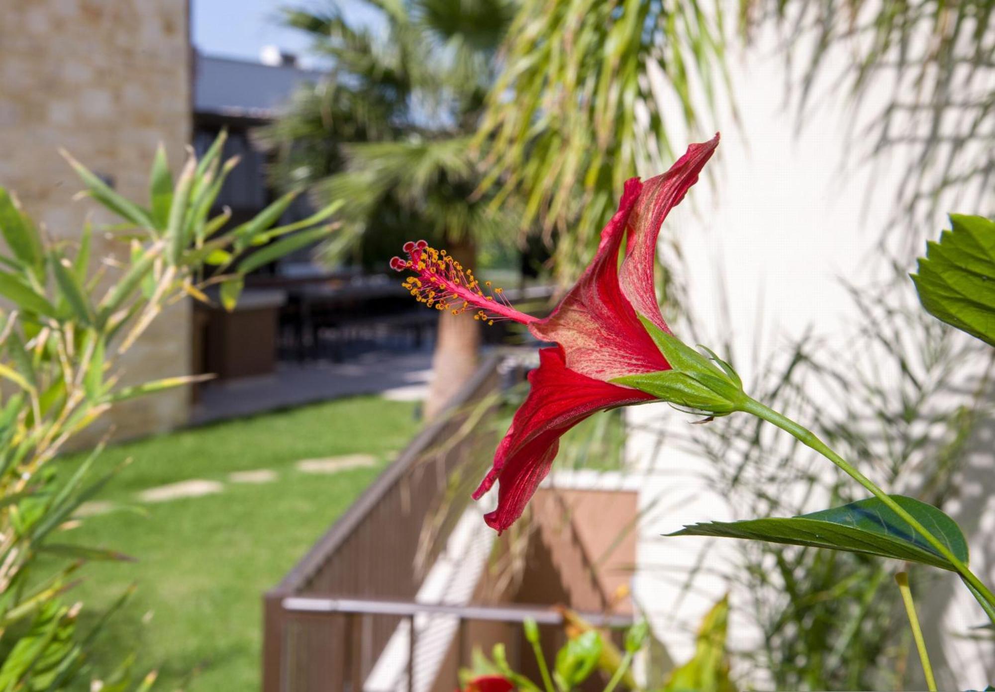 Almi-Cove Hilltop Villas Almirída Luaran gambar